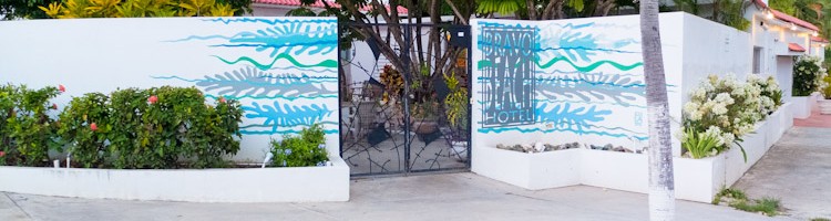 Bravo Beach Hotel - Vieques, Puerto Rico | SuitcaseandHeels.com