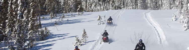 Snowmobiling in Newfoundland