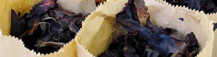 Dulse