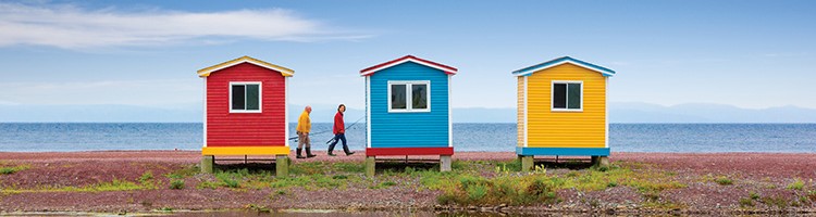 101 Things to Do in Newfoundland